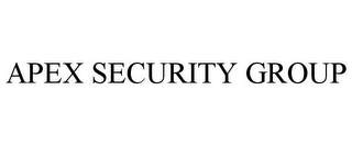 APEX SECURITY GROUP