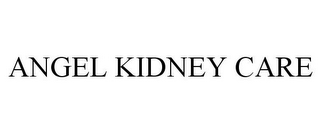 ANGEL KIDNEY CARE