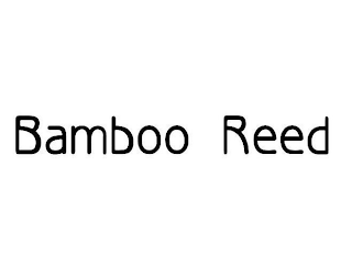 BAMBOO REED