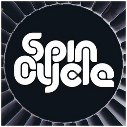 SPIN CYCLE