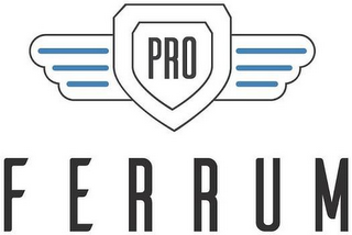 PRO FERRUM