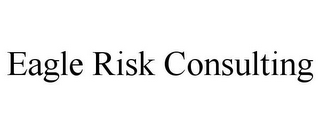 EAGLE RISK CONSULTING
