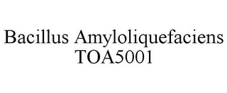 BACILLUS AMYLOLIQUEFACIENS TOA5001