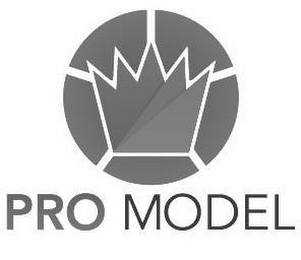 PRO MODEL