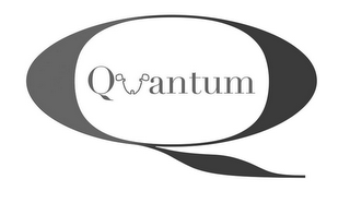 Q QUANTUM