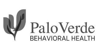 PALO VERDE BEHAVIORAL HEALTH