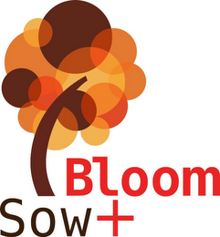 SOW + BLOOM