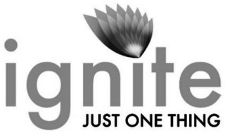 IGNITE JUST ONE THING