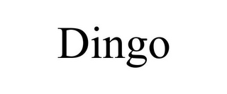 DINGO