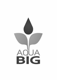 AQUA BIG