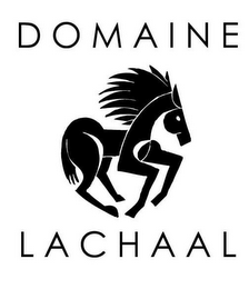 DOMAINE LACHAAL