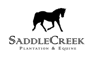 SADDLECREEK PLANTATION & EQUINE