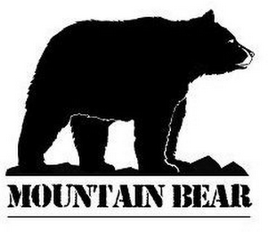 MOUNTAIN BEAR