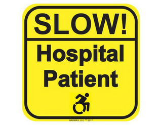 SLOW! HOSPITAL PATIENT HARMAX, LLC 2017