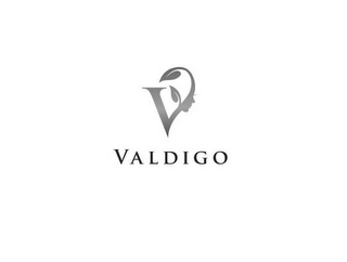 V VALDIGO