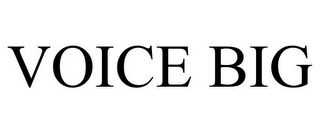 VOICE BIG
