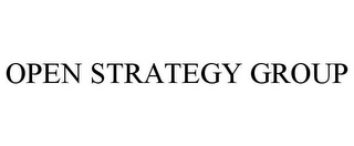 OPEN STRATEGY GROUP