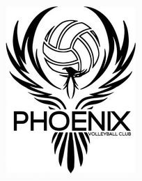 PHOENIX VOLLEYBALL CLUB