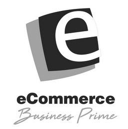 E ECOMMERCE BUSINESS PRIME