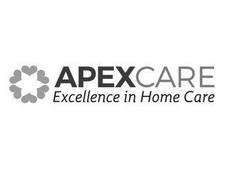 APEXCARE EXCELLENCE IN HOME CARE