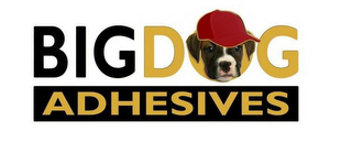 BIGDOG ADHESIVES