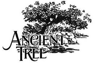 ANCIENT TREE