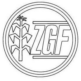 ZGF