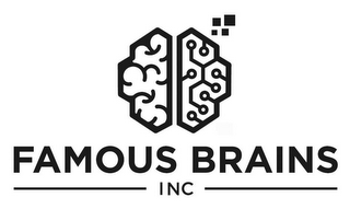 FAMOUS BRAINS INC
