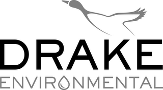 DRAKE ENVIRONMENTAL