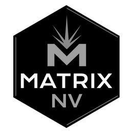 M MATRIX NV