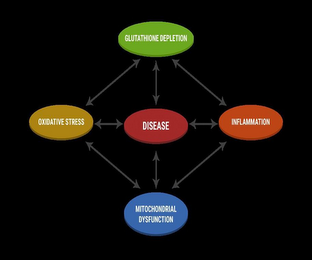 GLUTATHIONE DEPLETION, INFLAMMATION, MITOCHONDRIAL DYSFUNCTION, OXIDATIVE STRESS, DISEASE