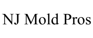 NJ MOLD PROS