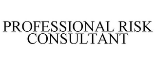 PROFESSIONAL RISK CONSULTANT