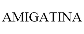 AMIGATINA