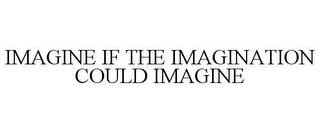 IMAGINE IF THE IMAGINATION COULD IMAGINE