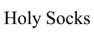 HOLY SOCKS