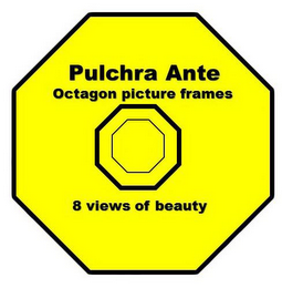 PULCHRA ANTE OCTAGON PICTURE FRAMES 8 VIEWS OF BEAUTY