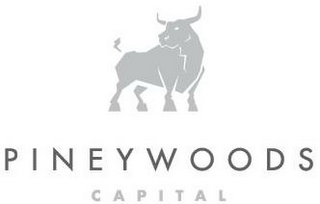 PINEYWOODS CAPITAL