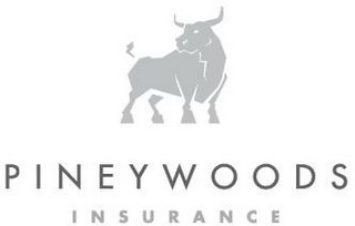 PINEYWOODS INSURANCE