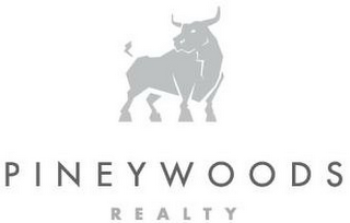 PINEYWOODS REALTY