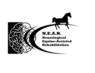 N.E.A.R. NEUROLOGICAL EQUINE-ASSISTED REHABILITATION