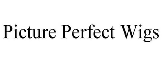PICTURE PERFECT WIGS