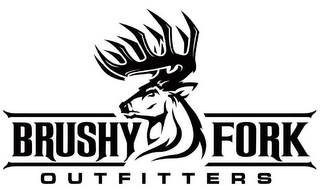 BRUSHY FORK OUTFITTERS