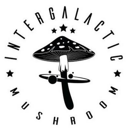 INTERGALACTIC MUSHROOM