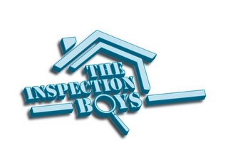 THE INSPECTION BOYS