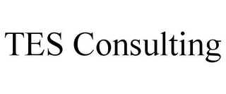 TES CONSULTING