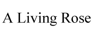 A LIVING ROSE