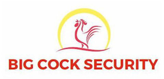 BIG COCK SECURITY