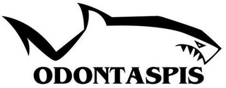 ODONTASPIS