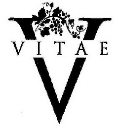 V VITAE